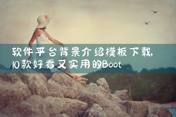 软件平台背景介绍模板下载