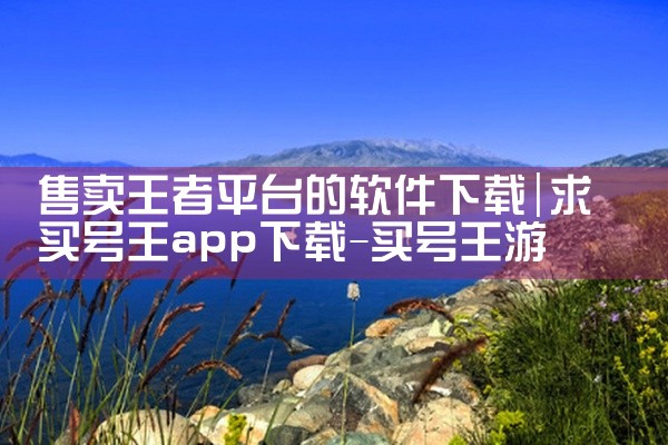 售卖王者平台的软件下载