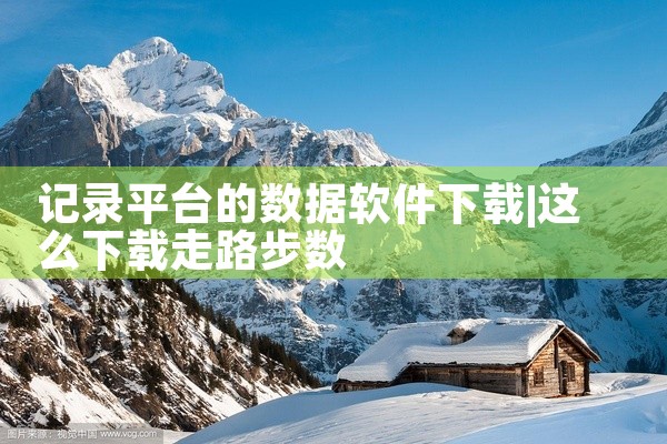 记录平台的数据软件下载