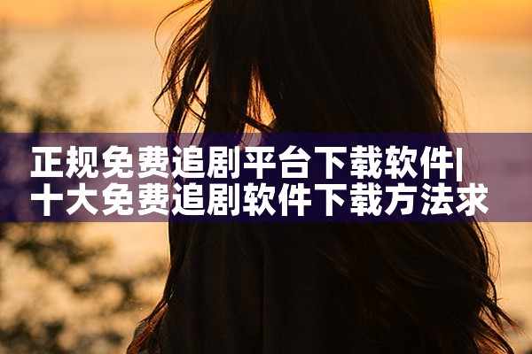 正规免费追剧平台下载软件