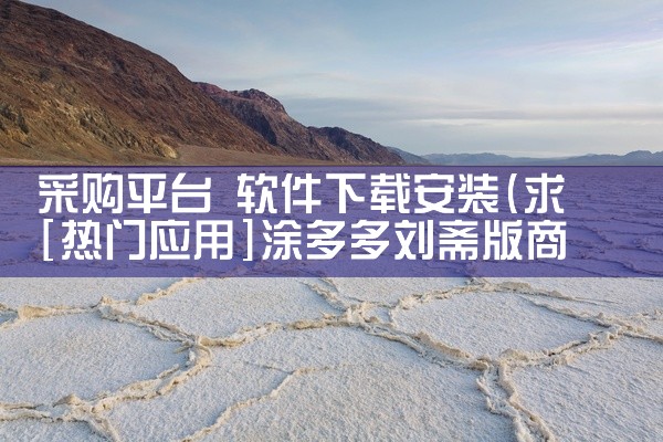 采购平台 软件下载安装