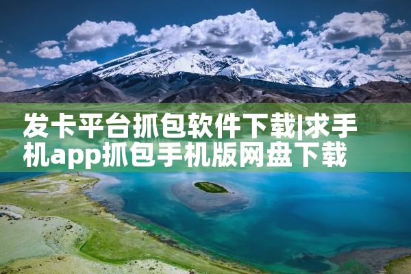 发卡平台抓包软件下载