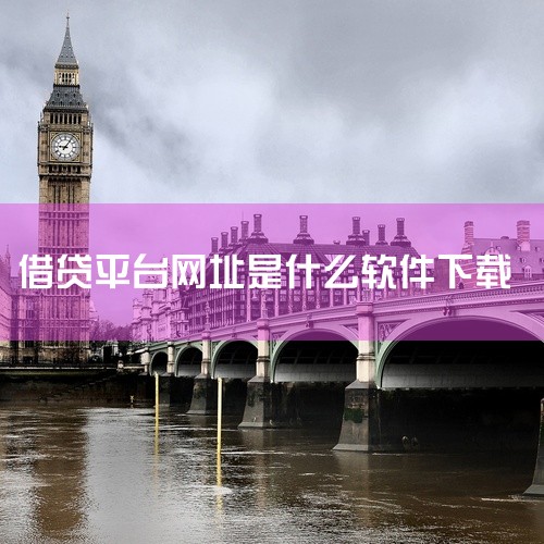 1. 银行类APP：工行、建行、招行这些大银行的手机银行都自带贷款功能，直接去应用商店下载就行。2. 正规网贷平台：像借呗、微粒贷、京东金融这些，在应用宝、App Store都能找到官方版。注意要认准,