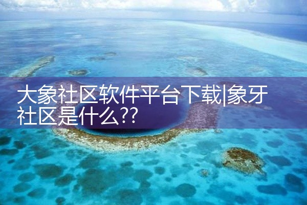 大象社区软件平台下载