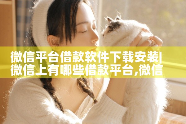 微信平台借款软件下载安装